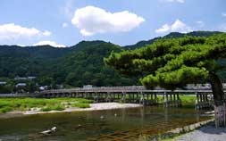 嵐山の日本庭園カフェとイケメン人力車を満喫。京都女子旅におすすめ
